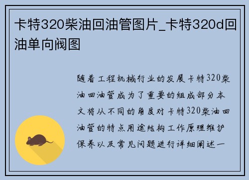 卡特320柴油回油管图片_卡特320d回油单向阀图